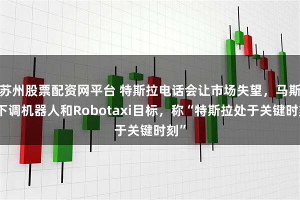 苏州股票配资网平台 特斯拉电话会让市场失望，马斯克下调机器人和Robotaxi目标，称“特斯拉处于关键时刻”