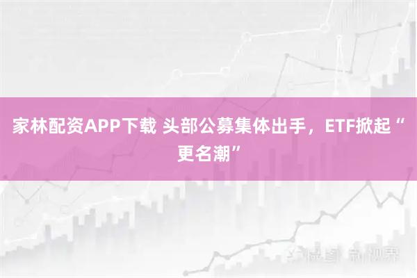 家林配资APP下载 头部公募集体出手，ETF掀起“更名潮”