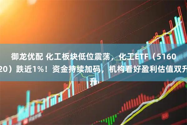 御龙优配 化工板块低位震荡，化工ETF（516020）跌近1%！资金持续加码，机构看好盈利估值双升